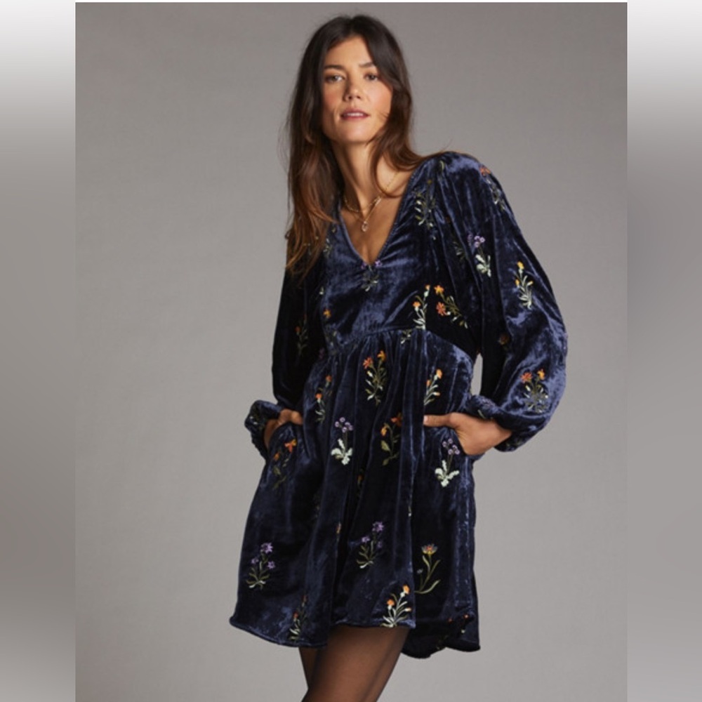 Anthropologie floral embroidered shimmer mini dress x-small